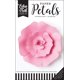 Echo Park Pétales Paper-petit Rose Rose – image 1 sur 1