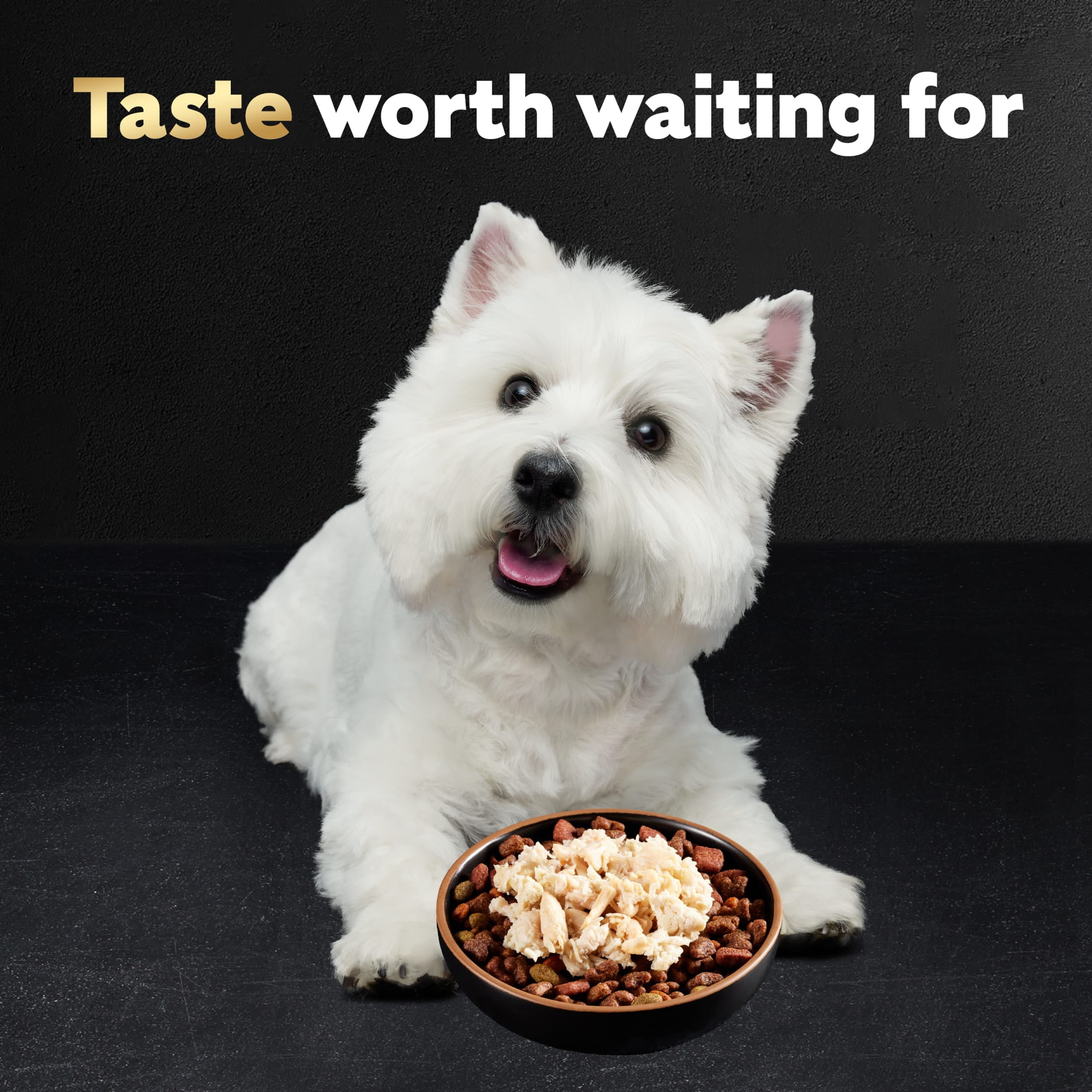Cesar Simply Crafted Chicken Wet Dog Food, 1.3 Oz Tub