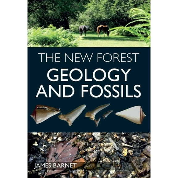 The New Forest : Geology and Fossils (Paperback)