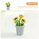 thumbnail image 2 of KAKOWELY Planta en maceta en miniatura Mini casa Girasol Mini casa Planta en maceta Mini casa Accesorio, 2 of 5
