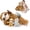 Brown, variant on Muiteiur 4Pcs Fox Stuffed Animal 22'' Fox Plush with 3 Babies in Her Zippered Tummy