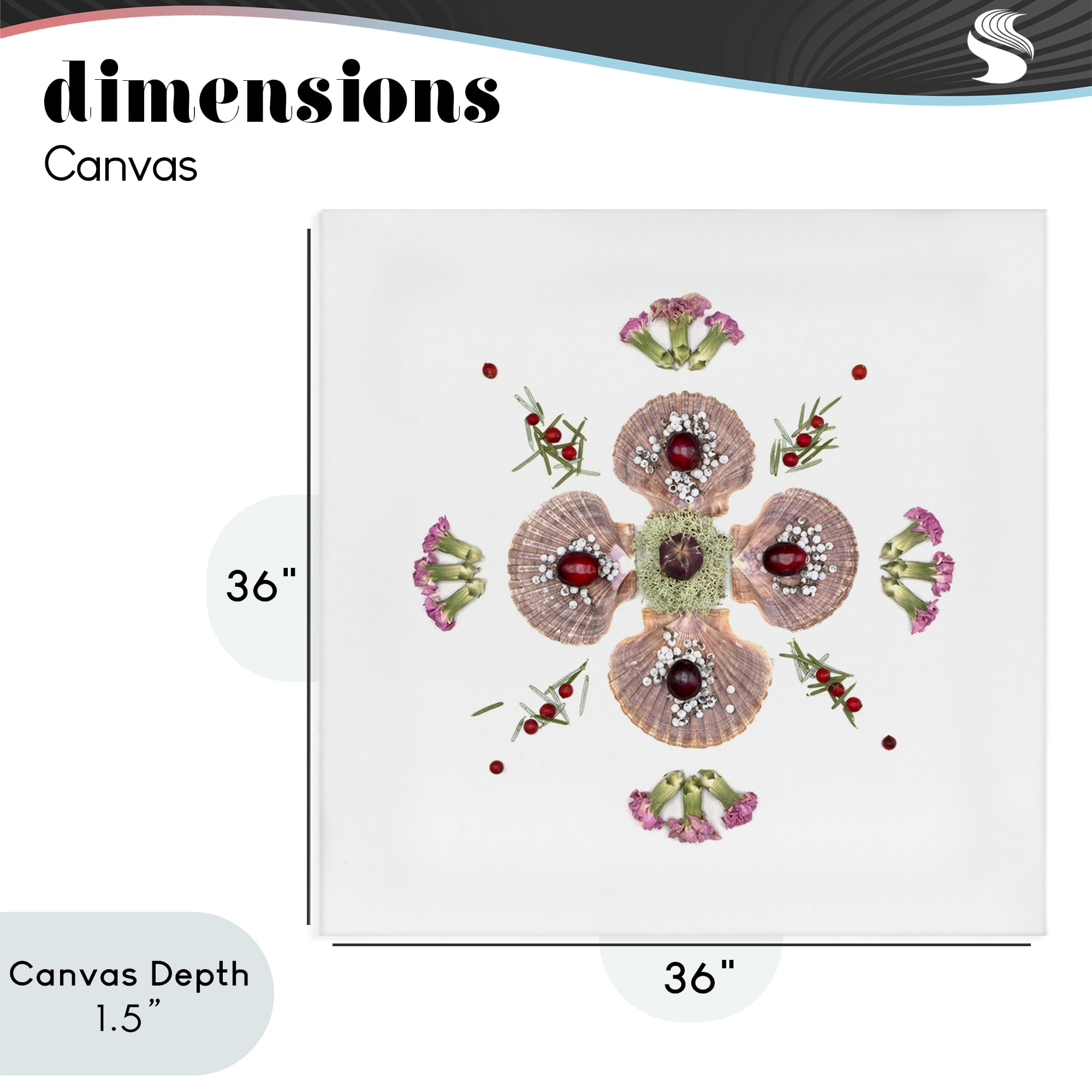 Stupell Industries Clam Shells & Botanicals Pattern Canvas Wall Art, design by Beth Adoette
