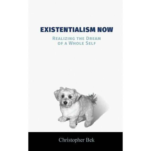 Existentialism Now: Realizing the Dream of a Whole Self (Paperback)