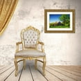 thumbnail image 3 of Hausenflock, Alan 18x13 Gold Ornate Wood Framed with Double Matting Museum Art Print Titled - Old Backyard Barn, 3 of 4