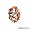 thumbnail image 2 of EURO TE Duo Pack: 100g Tisana Frutal Chabacano y 100g Tisana Frutal Cherry Festival, Tisanas Naturales Gourmet de Hoja Suelta, 2 of 5