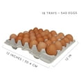 thumbnail image 6 of Cornucopia Brands 30-Count Egg Flats (18 Trays); Biodegradable Recycled Material Chicken Egg Cartons, Each Holds 30 Eggs, 6 of 10