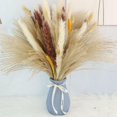 thumbnail image 2 of 70 piezas de ramos de hierba de pampa seca natural para decoración de boda bohemia Afortunado Sencillez, 2 of 3