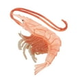 thumbnail image 3 of Favores del modelo de la animal del para los juguetes Zulema  Niños Ciencia Naturaleza, 3 of 8
