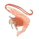 thumbnail image 3 of Juguetes de simulación de Naturaleza Camarones rojos 9.5x9x1.7cm Hugo Niños Ciencia Naturaleza, 3 of 10