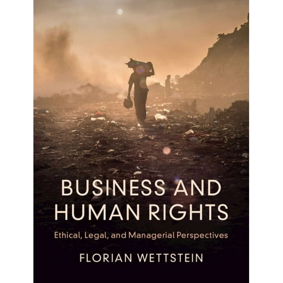 Business and Human Rights, (Paperback)