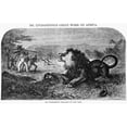 thumbnail image 2 of David Livingstone N(1813-1873). Scottish Missionary And Explorer. Livingstone Is Attacked By A Lion. Wood Engraving, 2 of 4