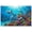 Unframe-style, variant on Vibrant Dolphin Coral Reef Canvas Wall Art, Colorful Underwater Ocean Marine Animal Life Pictures Print for Living Room Bedroom Bathroom Home Decor