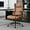 Brown, variant on Mid Back Executive Leather Chair,Ergonomic Home Office Chairs, Computer Desk Chair with Adjustable Flip-Up Arms and Rocking Function (Beige)
