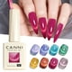 thumbnail image 2 of Set de esmaltes de uñas CANNI Cat Eye Gel de 9 ml x 8 con imán y base o capa superior, 2 of 9