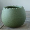 thumbnail image 4 of Coofit 6 Pcs Pot de Succulentes Pot de Fleurs Moderne Simple Pot de Jardinage, 4 of 9