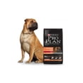 thumbnail image 4 of Croquetas para perro Pro Plan  Adulto Sensitive Skin 13 Kg, 4 of 5