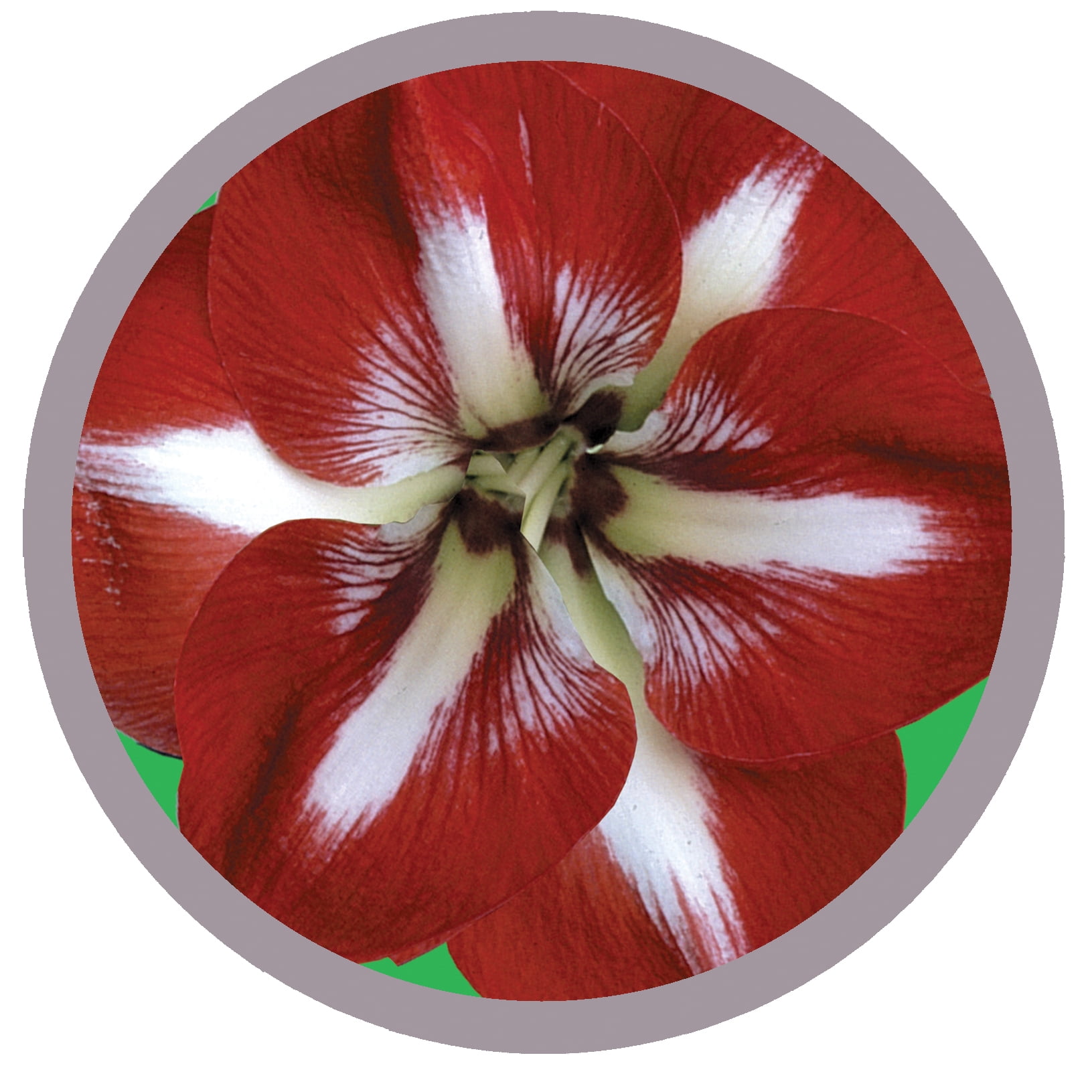 aad9831d-042a-4039-bf3e-