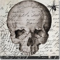 Trademark Fine Art "Halloween Skull" Canvas Art by Color Bakery