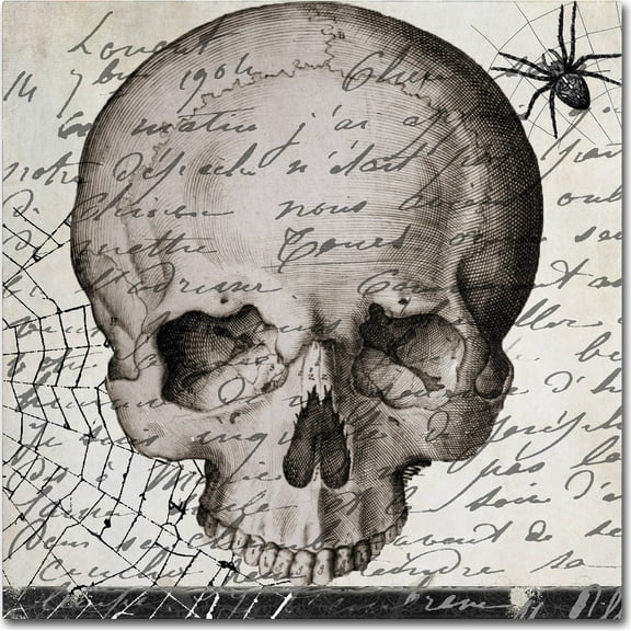 Trademark Fine Art "Halloween Skull" Canvas Art by Color Bakery