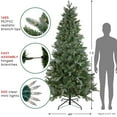 thumbnail image 6 of Northlight Clear Prelit LED Green Hinged Fir Granville Fraser Slim Artificial Christmas Tree, 7.5', 6 of 8
