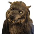 thumbnail image 1 of Bebetter Wolf Mask Wolfman Latex Mask Werewolf Headwear Costume Mask Halloween Party Fox Lion Mask Jnnjv, 1 of 5