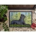 thumbnail image 3 of Carolines Treasures SS8682MAT Paillasson Intérieur Extérieur 18 x 27 Po. Cane Corso, 3 of 4