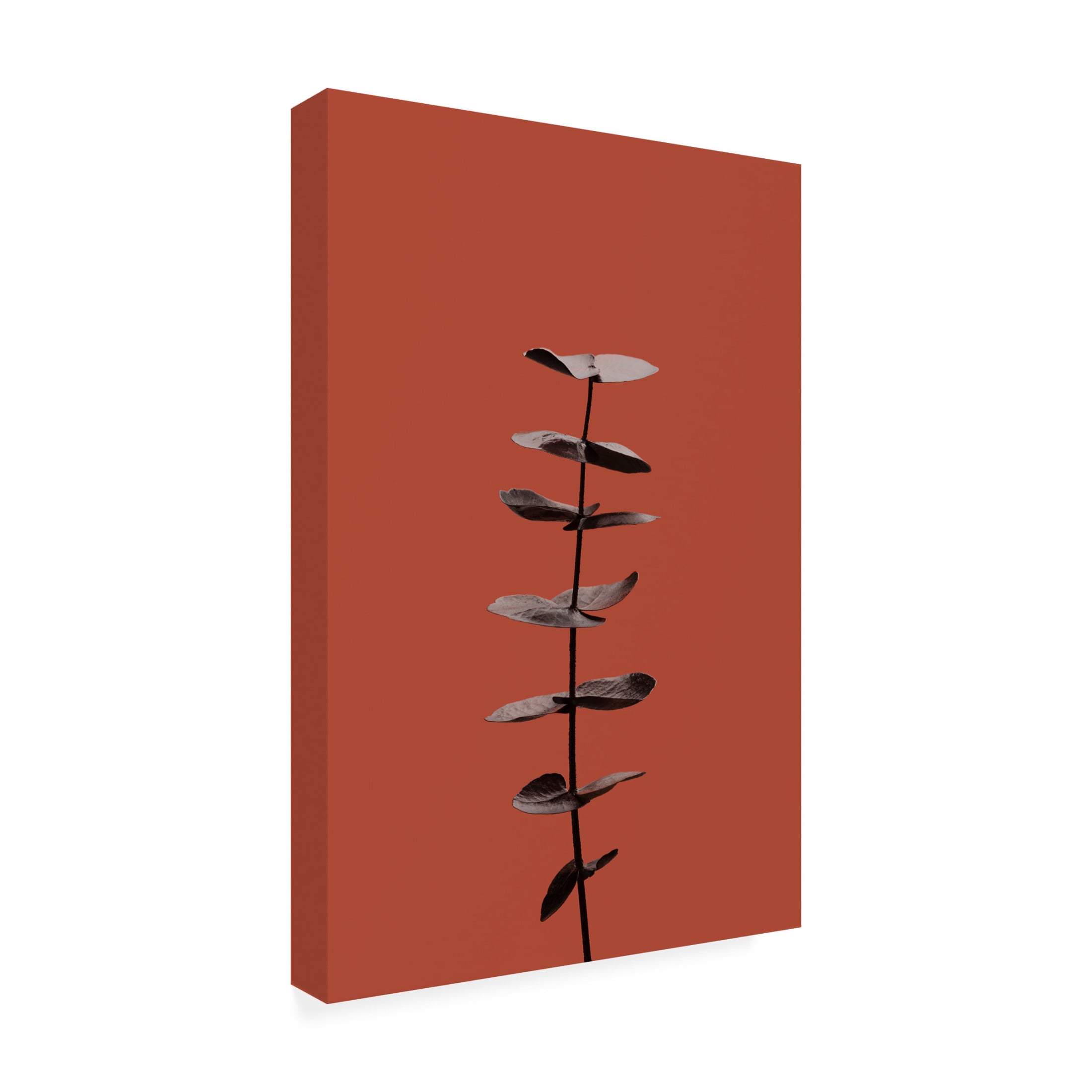 Canvas Wall Art - Pictufy Studio Iii 'Eucalyptus Rust 04' Wall Art for Living Room, Bedroom, or Office D?cor by Trademark Fine Art - 22 x 32 Inches