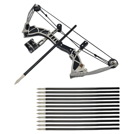 Compound Bow Kit Adjustable Beginner Compound Bow 1 Compound Bow with 12 Arrows Outdoor Hunting Archery Practice Training Set for Youth Adult Beginners Hunters