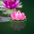 thumbnail image 4 of 6Pcs Garden Lotus Floating Decor Pond Fake Lotus Flower Craft Simulation Lotus Flower Decor Lotus Decor, 4 of 9
