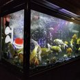 thumbnail image 4 of Aquarium Bubble Diffuser Kit, Acrylic Clear Oxygenation Adjustable Fish  Air Stone Refiner Space Saving  For Planted, 4 of 8