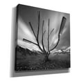 thumbnail image 2 of Epic Graffiti 'Dandruff Tree' by Dariusz Klimczak, Canvas Wall Art, 37"x37", 2 of 3