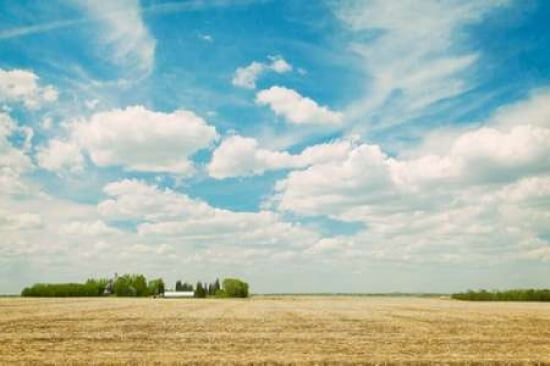 Spring Grain Farm C