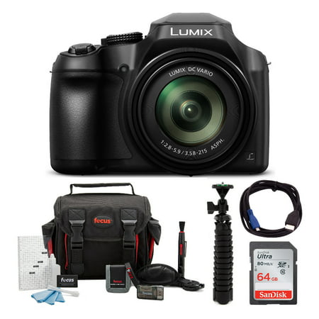 Panasonic LUMIX FZ80 4K 60x Zoom Digital Camera with SanDisk 64GB SD Card (Best Panasonic Point And Shoot)