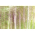 thumbnail image 2 of Mahan, Kathy 18x13 Black Ornate Wood Framed with Double Matting Museum Art Print Titled - Aspen Blur III, 2 of 4