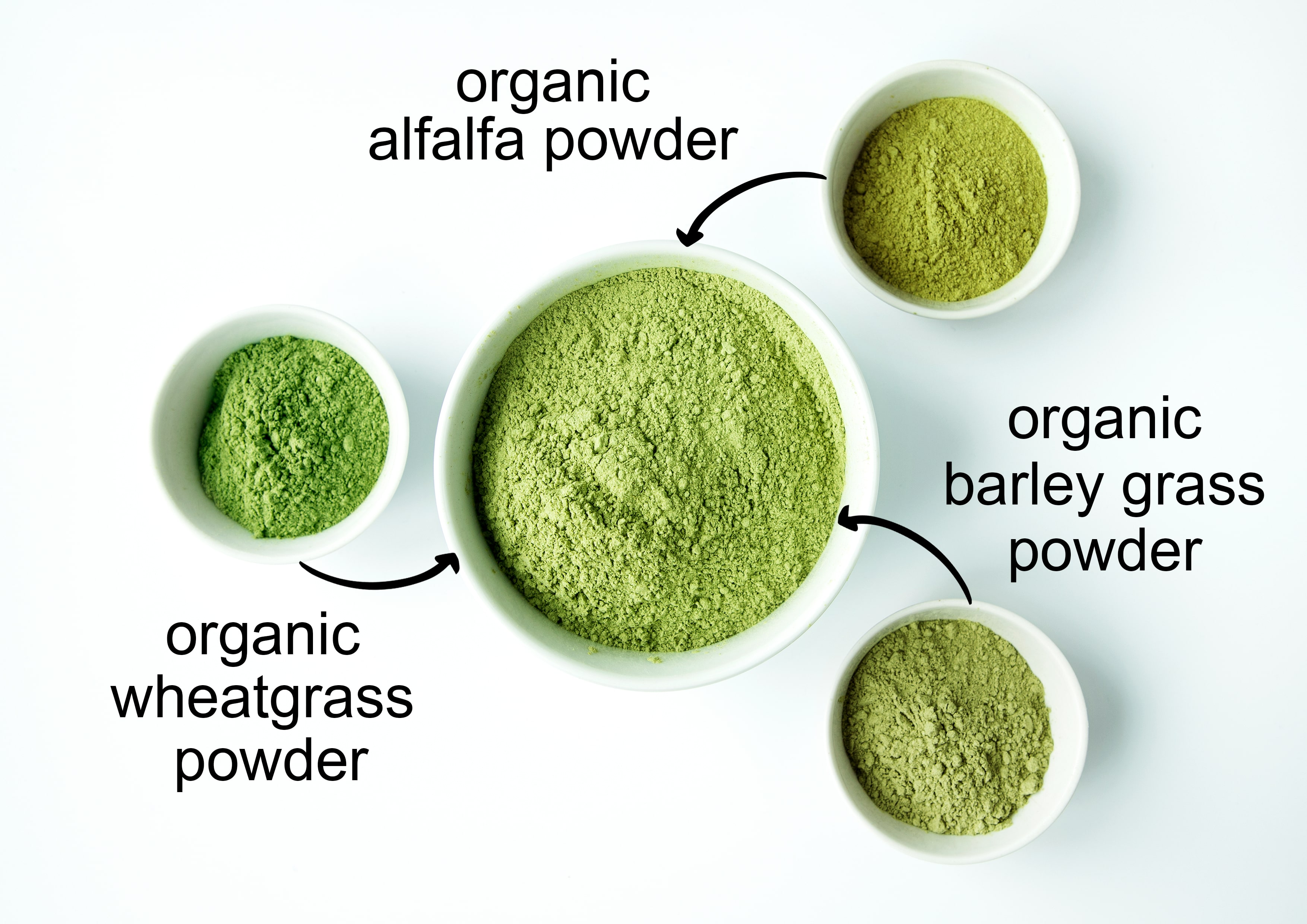 Organic SuperGrass Powder Mix, 8 Pounds — Non-GMO, Kosher, Vegan, Raw — by Food to Live