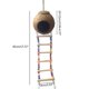 thumbnail image 1 of Caseta de nido de pájaro con escalera para loros, periquitos, conures, cocls S, animales, mascotas, Ca Habitats R, 1 of 4