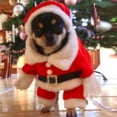 thumbnail image 3 of Trajes para proteger mascotas de Santa Claus Colco Ropa de disfraz sombrero de Navidad chaqueta capa cálida S S, 3 of 8