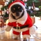 thumbnail image 4 of Abrigo navideño para mascotas, ropa, chaqueta, trajes de algodón, disfraz para cachorros, ropa para perros S, 4 of 9