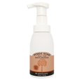 thumbnail image 1 of Jabón de espuma de pachulí Plantlife - Hecho con ingredientes orgánicos - 8.5 oz, 1 of 5