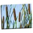 thumbnail image 2 of Gango Home Decor Cattailes by C. Thomas McNemar (Ready to Hang); One 28x22in Hand-Stretched Canvas, 2 of 4