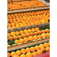 thumbnail image 4 of Tropicana Pineapple Peach Mango 10oz, 4 of 5