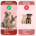 thumbnail image 2 of Cepillo de Dientes para Perros y Gatos Cerdas Suaves y Cabeza Doble Antideslizante, 2 of 9