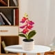 thumbnail image 4 of Orquídea Phalaenopsis Artificial, Decoración de escritorio de oficina boda, rojo rosa, 4 of 6