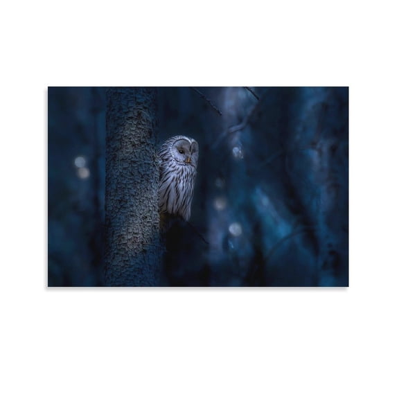 Owl Cute Bird Animal-c Artworks Canvas Poster Room Aesthetic Wall Art Prints Home Modern Decor Gifts 08x12inch(20x30cm)