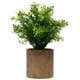 thumbnail image 1 of GOOHOCHY Simulación de planta artificial planta verde bonsai para sala de estar para sala de estar, 1 of 8