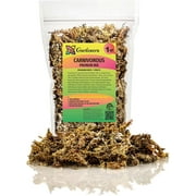 Gardenera Sphagnum Moss Potting Mix for Carnivorous Plants, Moss and Perlite Blend for Potting Venus Fly Traps, Sarracenia, Pitcher Plants - 75% Sphagnum Moss + 25% Perlite - Made in USA - 1 Quart