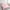 Pink White, variant on Erosebridal Pink Bowknot Bedding Sets Twin Size,Spring Garden Comforter Sets with Sheets,Dreamy Princess Decor,Reversible,Breathable,7-Piece