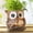Brown, variant on Quoowiit Resin Frog Rocking Chair Plant Pots, 5.1" with Drainage Holes for Small Succulents, Indoor and Outdoor Use