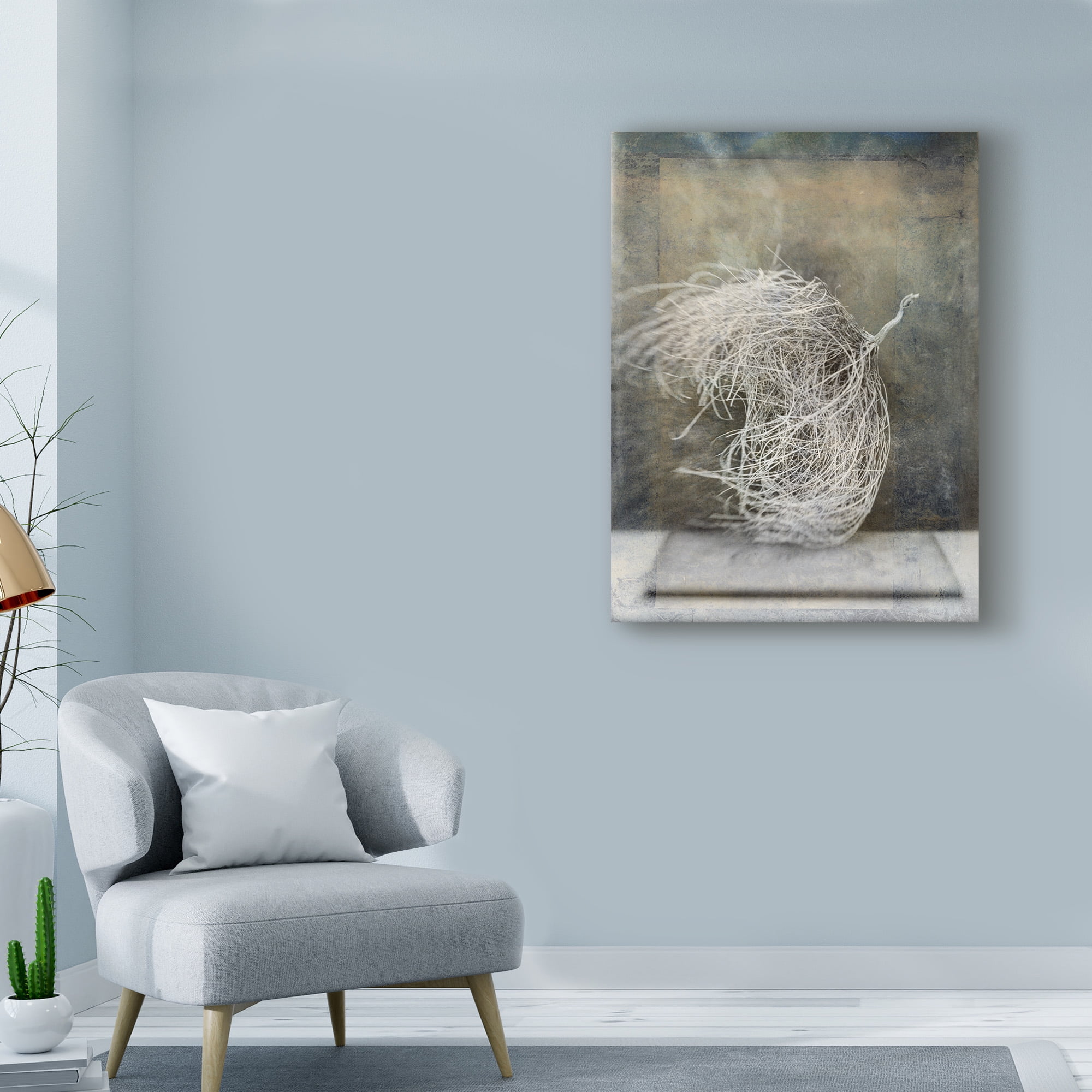 Trademark Fine Art 'Desert Form I' Canvas Art by Elena Ray