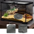 thumbnail image 6 of Serenable Reptile Feeding Bowl Water Dish Reptile Water Bowl, Terrarium Accessories for Frog, Bearded Dragon, Chameleon, Turtle, Snake Gray, 6 of 9